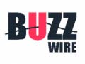                                                                       Buzz Wire ﻞﯿﮭﮐ