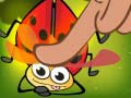                                                                       Insect Cush ﻞﯿﮭﮐ