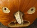                                                                       5 in 1 Picture Puzzle: Halloween ﻞﯿﮭﮐ