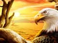                                                                       Eagle ﻞﯿﮭﮐ