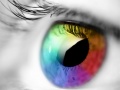                                                                       Colours And Designs ﻞﯿﮭﮐ