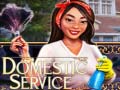                                                                       Domestic Service ﻞﯿﮭﮐ