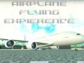                                                                       Airplane Flying Expierence ﻞﯿﮭﮐ