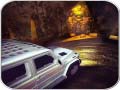                                                                       Scary Car Driving Simulator ﻞﯿﮭﮐ