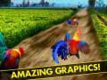                                                                       Angry Rooster Run Subway ﻞﯿﮭﮐ