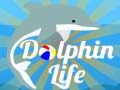                                                                       Dolphin Life ﻞﯿﮭﮐ