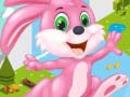                                                                       Bunny Run ﻞﯿﮭﮐ