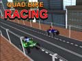                                                                       Quad Bike Racing ﻞﯿﮭﮐ