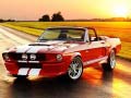                                                                       Fancy Mustang Differences ﻞﯿﮭﮐ