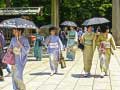                                                                       100 Butterflies in Japan ﻞﯿﮭﮐ