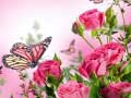                                                                      Butterflies Puzzle ﻞﯿﮭﮐ