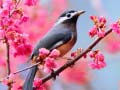                                                                       Lovable Birds ﻞﯿﮭﮐ