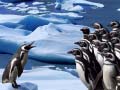                                                                       Penguins Slide ﻞﯿﮭﮐ