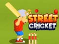                                                                       Street Cricket ﻞﯿﮭﮐ