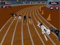                                                                       Crazyl Dog Racing Fever ﻞﯿﮭﮐ