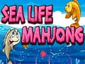                                                                      Sea life mahjong ﻞﯿﮭﮐ