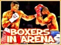                                                                       Boxers in Arena ﻞﯿﮭﮐ