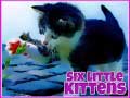                                                                       Six Little Kittens ﻞﯿﮭﮐ