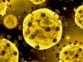                                                                       Coronavirus Slide ﻞﯿﮭﮐ