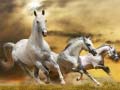                                                                       Running Horse Slide ﻞﯿﮭﮐ