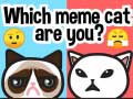                                                                       Which Meme Cat Are You? ﻞﯿﮭﮐ