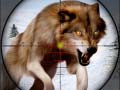                                                                       Wild Animal Hunting ﻞﯿﮭﮐ