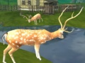                                                                       Deer Hunting Sniper Shooting ﻞﯿﮭﮐ
