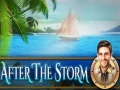                                                                       After the Storm ﻞﯿﮭﮐ