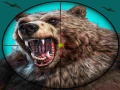                                                                       Wild Bear Hunting ﻞﯿﮭﮐ