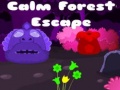                                                                       Calm Forest Escape ﻞﯿﮭﮐ