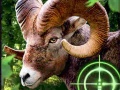                                                                       Crazy Goat Hunter 2020 ﻞﯿﮭﮐ