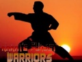                                                                       Karate Sunset Warriors ﻞﯿﮭﮐ