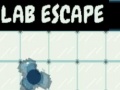                                                                       Lab Escape ﻞﯿﮭﮐ