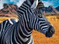                                                                       Zebra Hunter ﻞﯿﮭﮐ