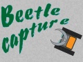                                                                       Beetle Capture ﻞﯿﮭﮐ