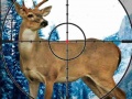                                                                       Sniper Stag Hunter ﻞﯿﮭﮐ