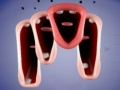                                                                       Crazy Lips ﻞﯿﮭﮐ