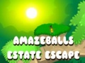                                                                       Amazeballs Estate Escape ﻞﯿﮭﮐ