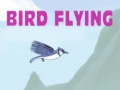                                                                       Bird Flying ﻞﯿﮭﮐ