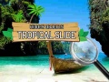                                                                       Hidden Objects: Tropical Slide ﻞﯿﮭﮐ