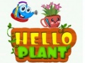                                                                       Hello Plant  ﻞﯿﮭﮐ