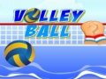                                                                       Volley ball ﻞﯿﮭﮐ