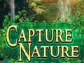                                                                       Capture Nature ﻞﯿﮭﮐ