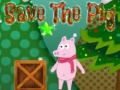                                                                       Save the Pig ﻞﯿﮭﮐ