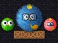                                                                       Where Is My Ruffled Bird ﻞﯿﮭﮐ