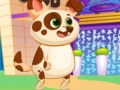                                                                       Lovely Virtual Dog ﻞﯿﮭﮐ
