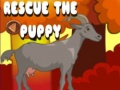                                                                       Rescue The Puppy ﻞﯿﮭﮐ