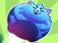                                                                      Super Sushi Cat a Pult ﻞﯿﮭﮐ