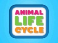                                                                       Animal Life Cycle ﻞﯿﮭﮐ