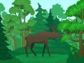                                                                      Wild Animals Coloring ﻞﯿﮭﮐ